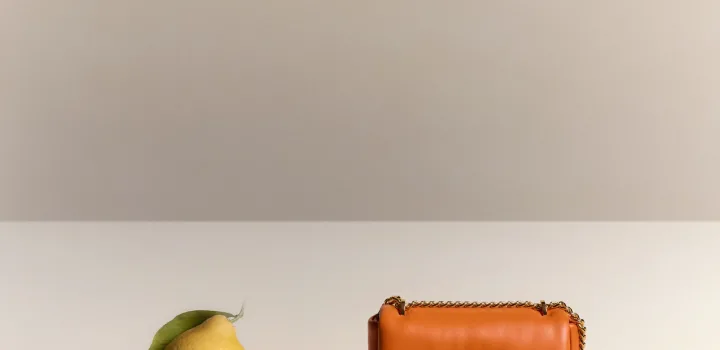 02_HOMENAJE_ACOLCHADO